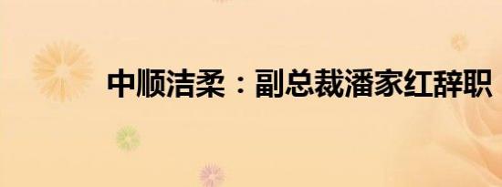 中顺洁柔：副总裁潘家红辞职