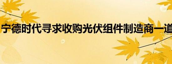 宁德时代寻求收购光伏组件制造商一道新能源