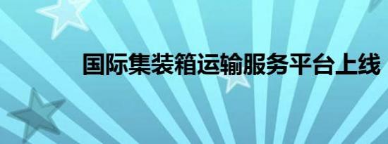 国际集装箱运输服务平台上线
