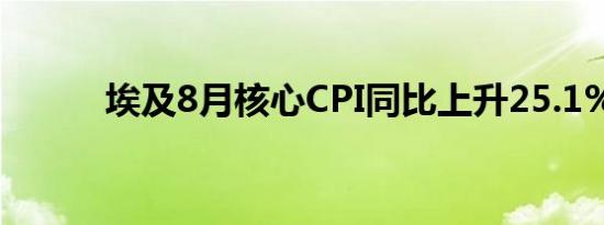 埃及8月核心CPI同比上升25.1%