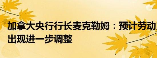 加拿大央行行长麦克勒姆：预计劳动力市场将出现进一步调整