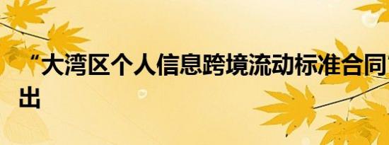 “大湾区个人信息跨境流动标准合同”措施推出