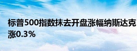 标普500指数抹去开盘涨幅纳斯达克100指数涨0.3%