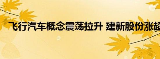 飞行汽车概念震荡拉升 建新股份涨超15%