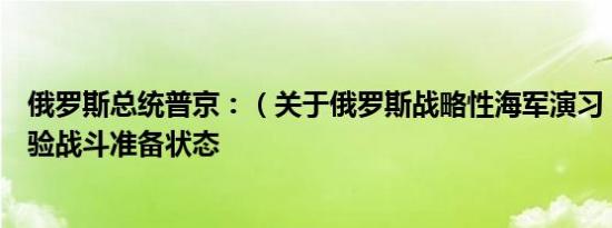 俄罗斯总统普京：（关于俄罗斯战略性海军演习）目标是检验战斗准备状态