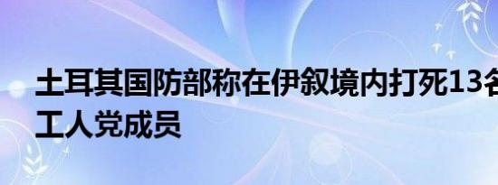 土耳其国防部称在伊叙境内打死13名库尔德工人党成员