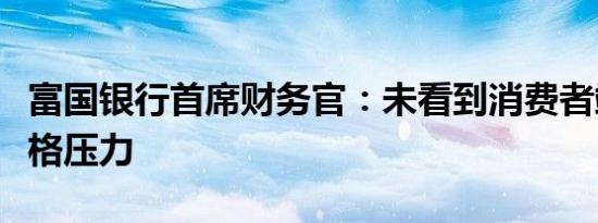 富国银行首席财务官：未看到消费者端存在价格压力