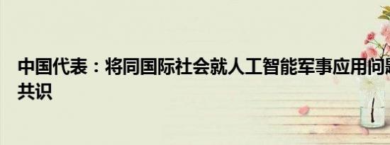 中国代表：将同国际社会就人工智能军事应用问题形成更多共识