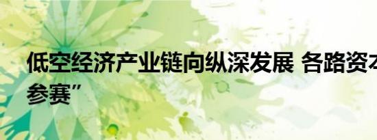 低空经济产业链向纵深发展 各路资本积极“参赛”
