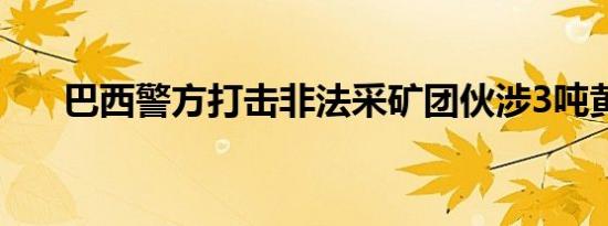 巴西警方打击非法采矿团伙涉3吨黄金