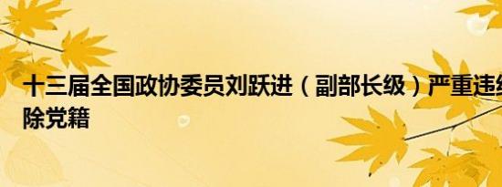十三届全国政协委员刘跃进（副部长级）严重违纪违法被开除党籍