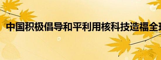 中国积极倡导和平利用核科技造福全球南方