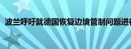 波兰呼吁就德国恢复边境管制问题进行磋商