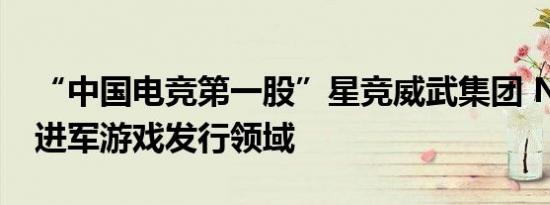 “中国电竞第一股”星竞威武集团 NIP 宣布进军游戏发行领域