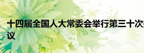 十四届全国人大常委会举行第三十次委员长会议