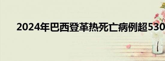 2024年巴西登革热死亡病例超5300例