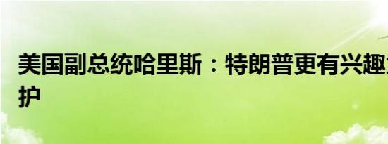 美国副总统哈里斯：特朗普更有兴趣为自己辩护