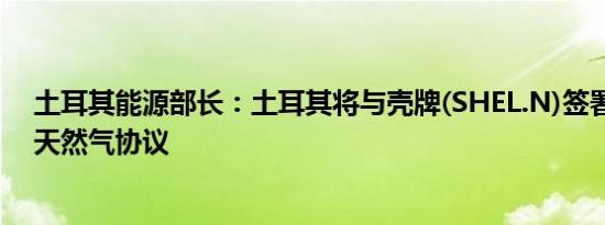 土耳其能源部长：土耳其将与壳牌(SHEL.N)签署新的液化天然气协议