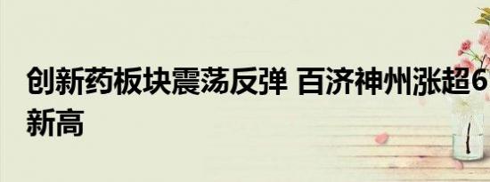创新药板块震荡反弹 百济神州涨超6%创年内新高