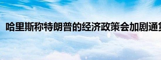 哈里斯称特朗普的经济政策会加剧通货膨胀