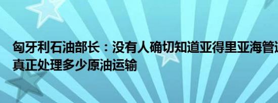 匈牙利石油部长：没有人确切知道亚得里亚海管道的容量能真正处理多少原油运输