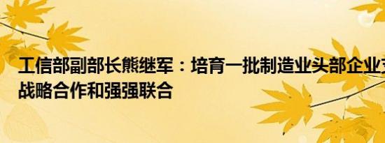 工信部副部长熊继军：培育一批制造业头部企业支持企业间战略合作和强强联合