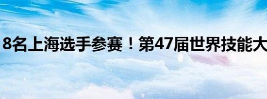 8名上海选手参赛！第47届世界技能大赛开幕