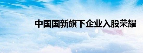 中国国新旗下企业入股荣耀