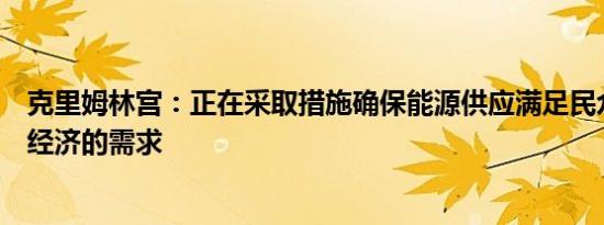 克里姆林宫：正在采取措施确保能源供应满足民众和俄罗斯经济的需求