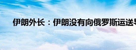 伊朗外长：伊朗没有向俄罗斯运送导弹