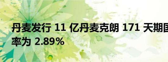 丹麦发行 11 亿丹麦克朗 171 天期国债收益率为 2.89%