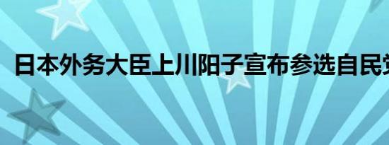 日本外务大臣上川阳子宣布参选自民党总裁