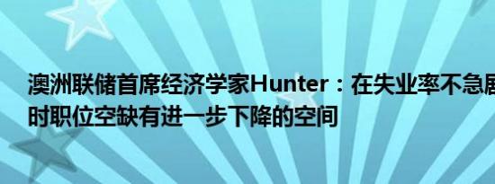 澳洲联储首席经济学家Hunter：在失业率不急剧上升的同时职位空缺有进一步下降的空间
