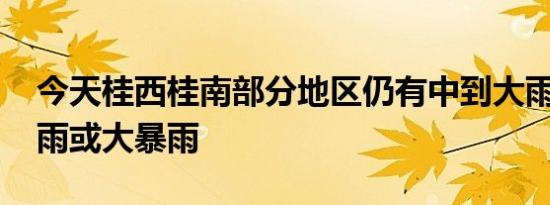 今天桂西桂南部分地区仍有中到大雨 局地暴雨或大暴雨