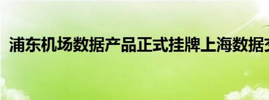 浦东机场数据产品正式挂牌上海数据交易所