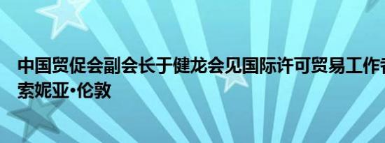 中国贸促会副会长于健龙会见国际许可贸易工作者协会会长索妮亚·伦敦