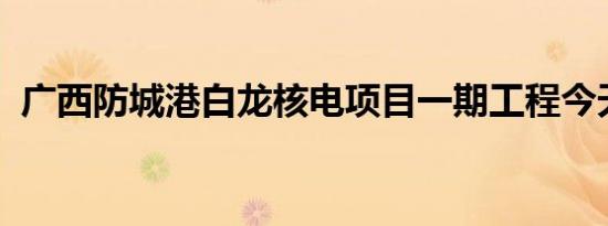 广西防城港白龙核电项目一期工程今天开工