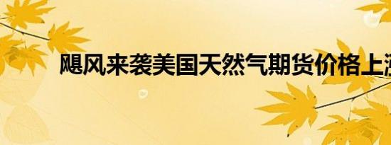 飓风来袭美国天然气期货价格上涨