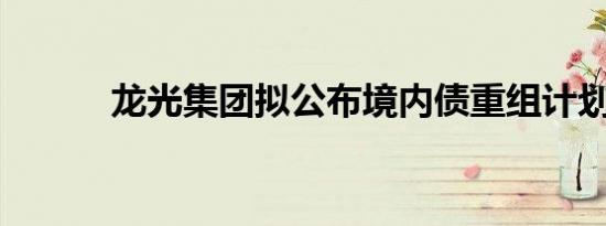 龙光集团拟公布境内债重组计划