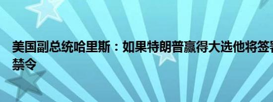 美国副总统哈里斯：如果特朗普赢得大选他将签署全国堕胎禁令