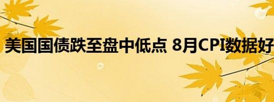 美国国债跌至盘中低点 8月CPI数据好坏参半