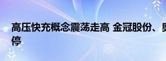 高压快充概念震荡走高 金冠股份、奥特迅涨停