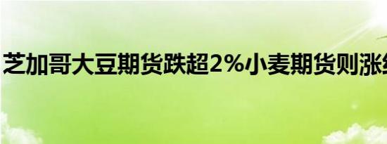 芝加哥大豆期货跌超2%小麦期货则涨约0.9%