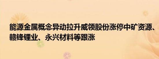 能源金属概念异动拉升威领股份涨停中矿资源、天齐锂业、赣锋锂业、永兴材料等跟涨