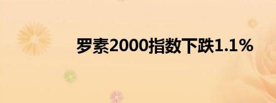 罗素2000指数下跌1.1%