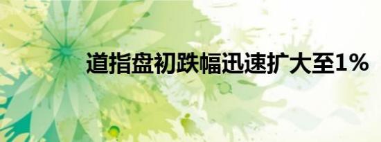 道指盘初跌幅迅速扩大至1%