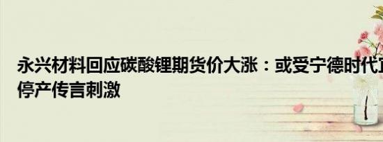 永兴材料回应碳酸锂期货价大涨：或受宁德时代宜春锂矿厂停产传言刺激