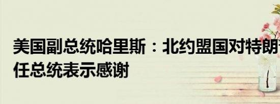 美国副总统哈里斯：北约盟国对特朗普不再担任总统表示感谢