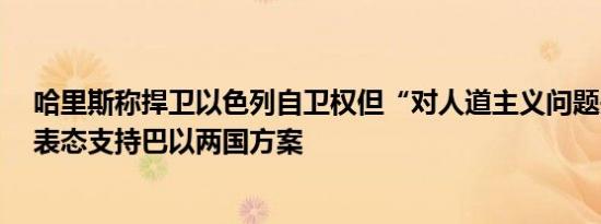 哈里斯称捍卫以色列自卫权但“对人道主义问题失去耐心”表态支持巴以两国方案