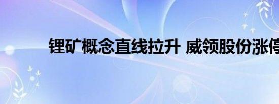 锂矿概念直线拉升 威领股份涨停